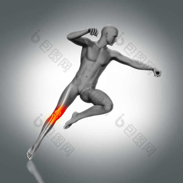 3d医疗人类运动腿部骨骼图像