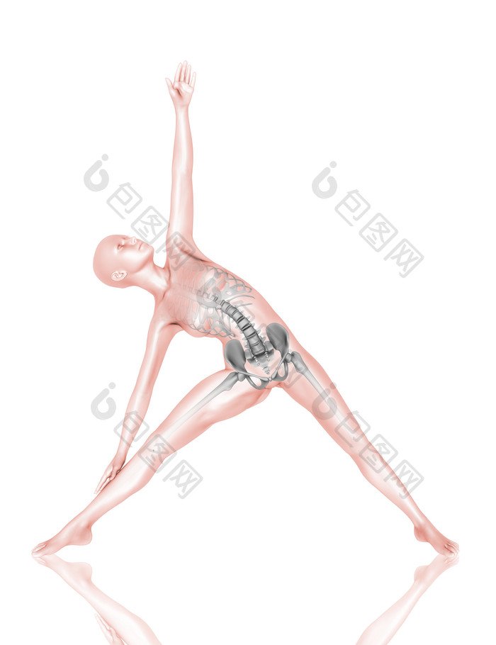 3d女医疗数字与骨架在瑜伽构成2