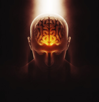 3d医疗人类大脑思考图