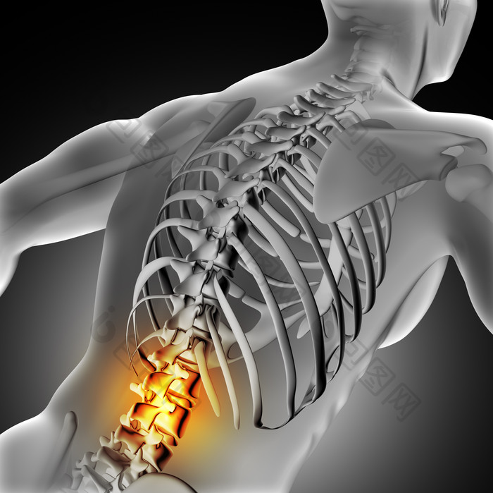 3d医疗人类脊柱脊椎运动图像