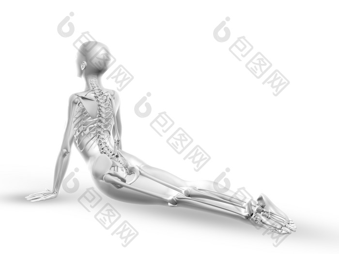 3d女医疗数字与骨架在瑜伽位置2