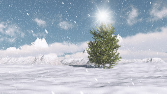 圣诞节冬天树木场景