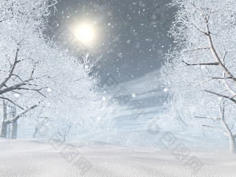 冬季树林<strong>树木</strong>雪景