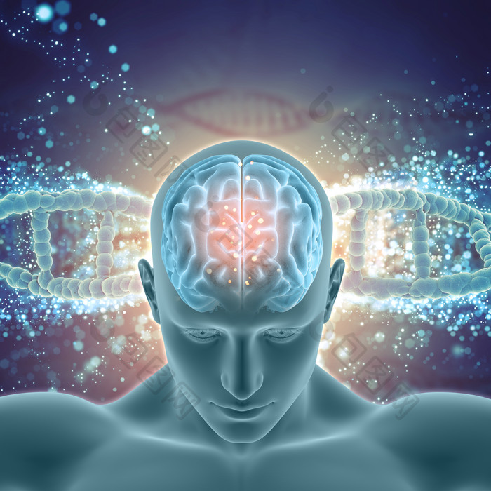 3dDNA背景与人类大脑渲染图