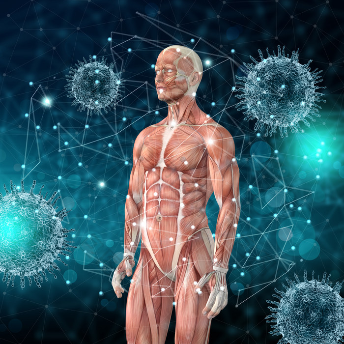 3d医疗病毒背景与男性肌肉图片