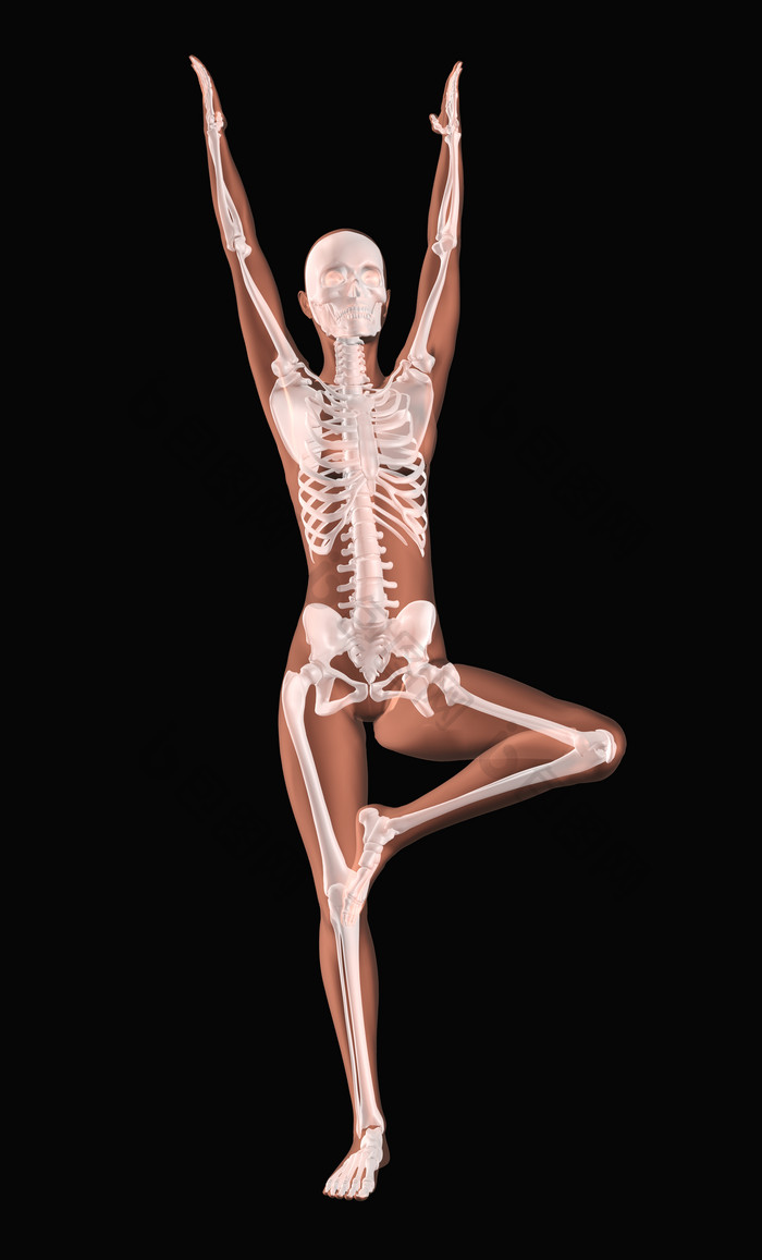 女医疗骨架在一个瑜伽位置