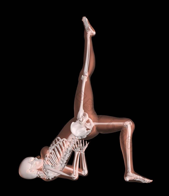 女骨架在瑜伽位置5