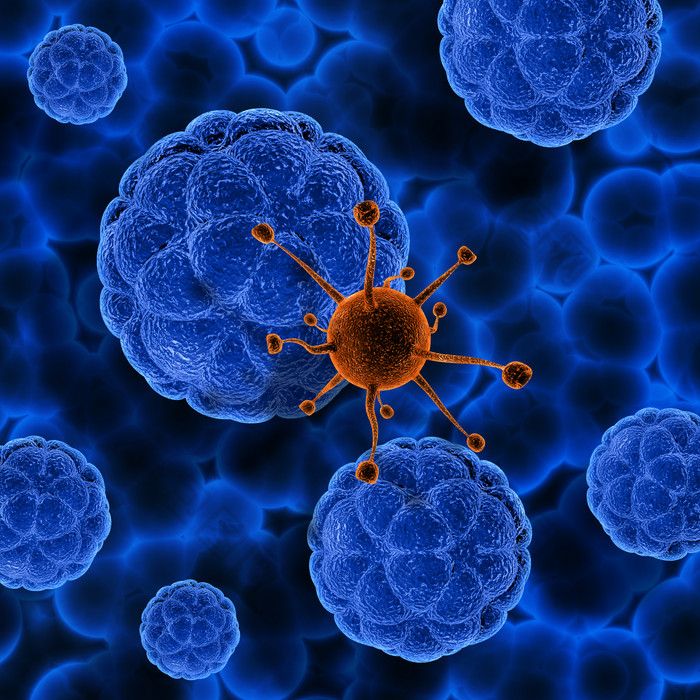 3d医疗病毒细胞渲染图
