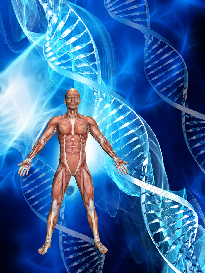 医疗DNA基因摄影图