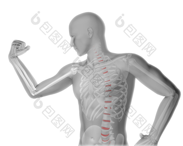 3d男性医疗数字弯曲手臂