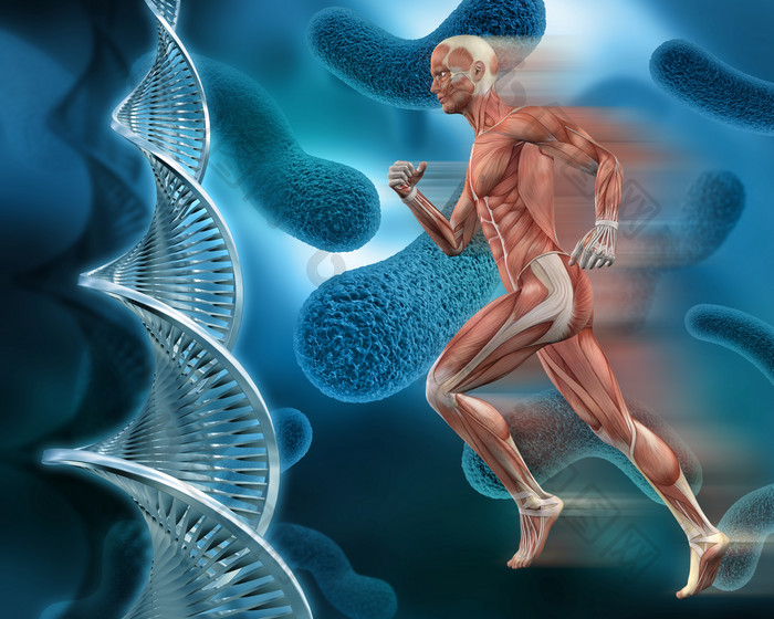 DNA生物学跑步男人