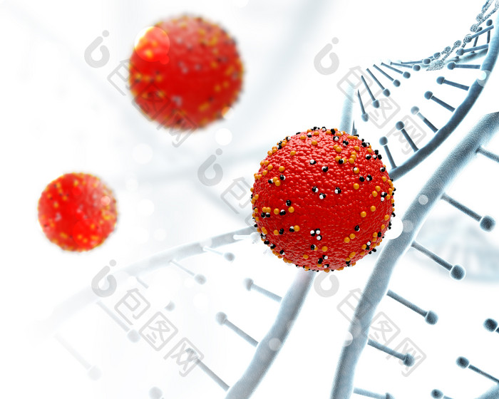 脱氧核糖酸和红色病毒