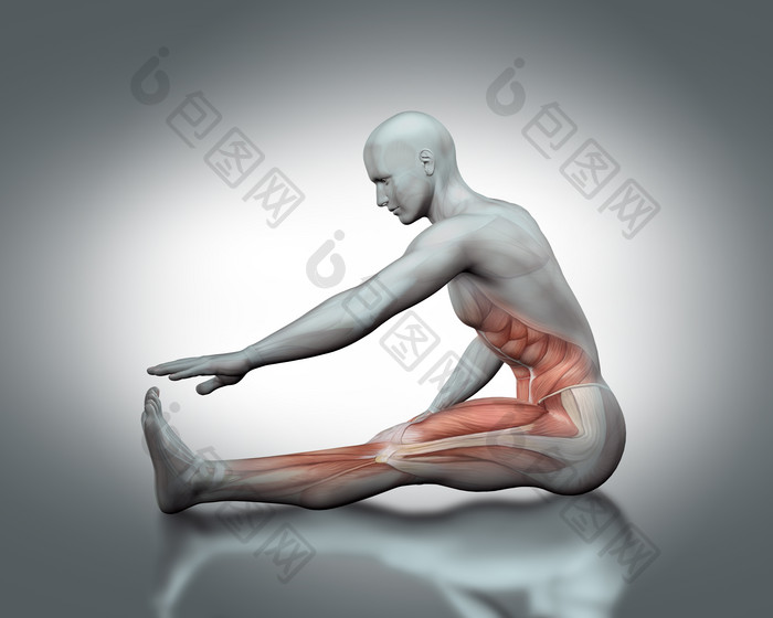 伸展运动3D男人肌肉