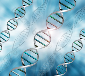 DNA基因链摄影图