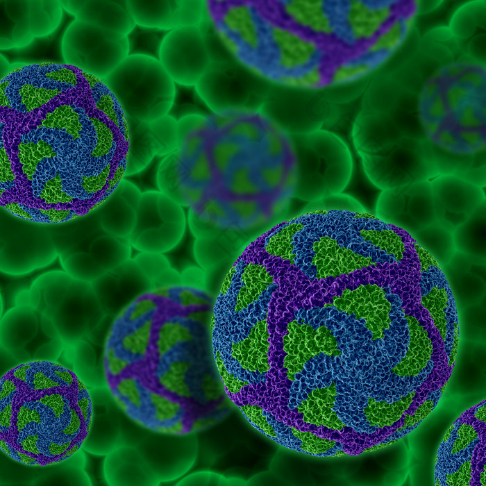 绿色的细菌病菌摄影图