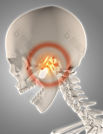头骨和鹗骨疼痛摄影图