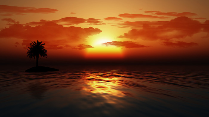 日落海洋与棕榈树