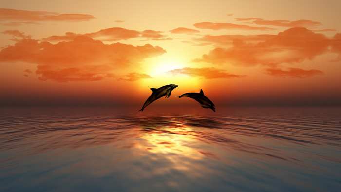 日落海洋与跳海豚