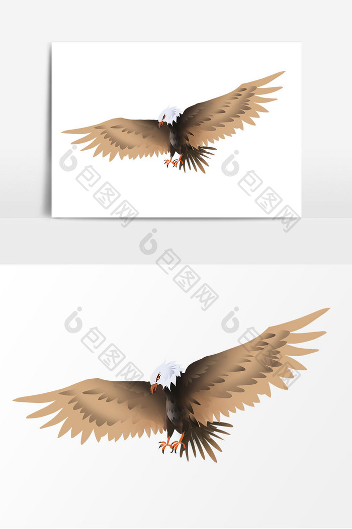 老鹰鸟禽类图像元素