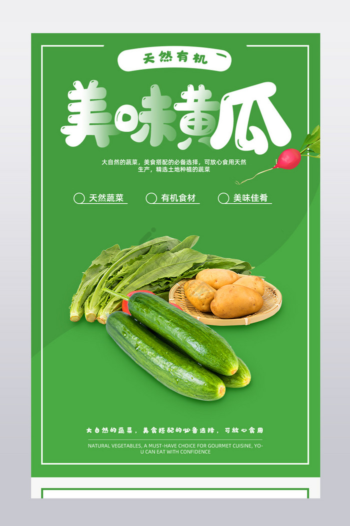 新鲜鲜黄瓜营养青菜蔬菜种植详情页图片