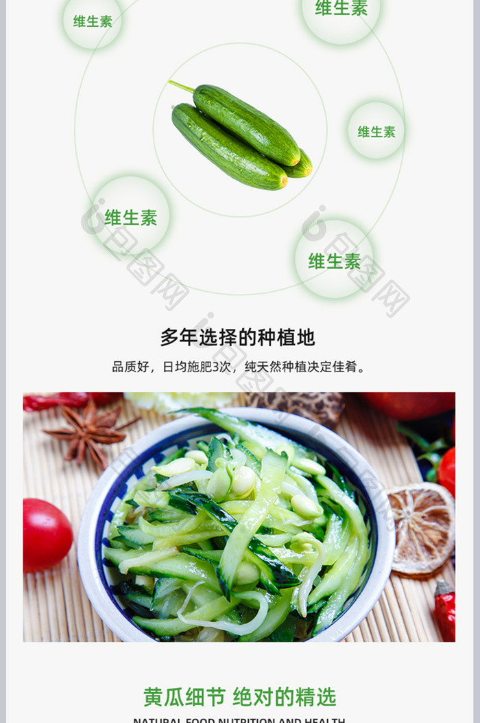 新鲜美食鲜黄瓜营养青菜美食蔬菜种植详情页