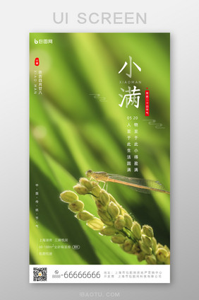 绿色小满节气手机启动引导页