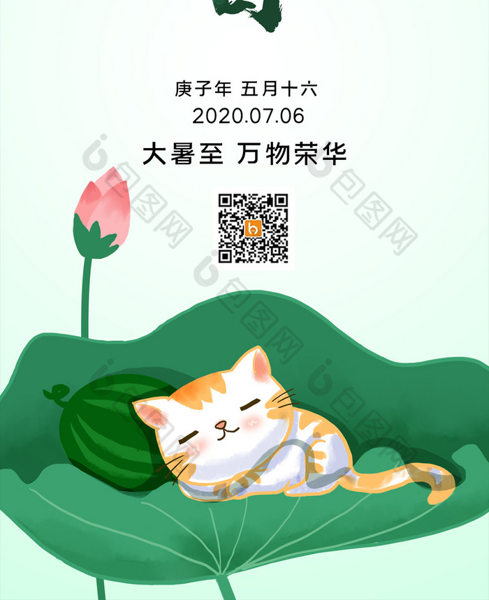 荷花小猫小暑手机配图