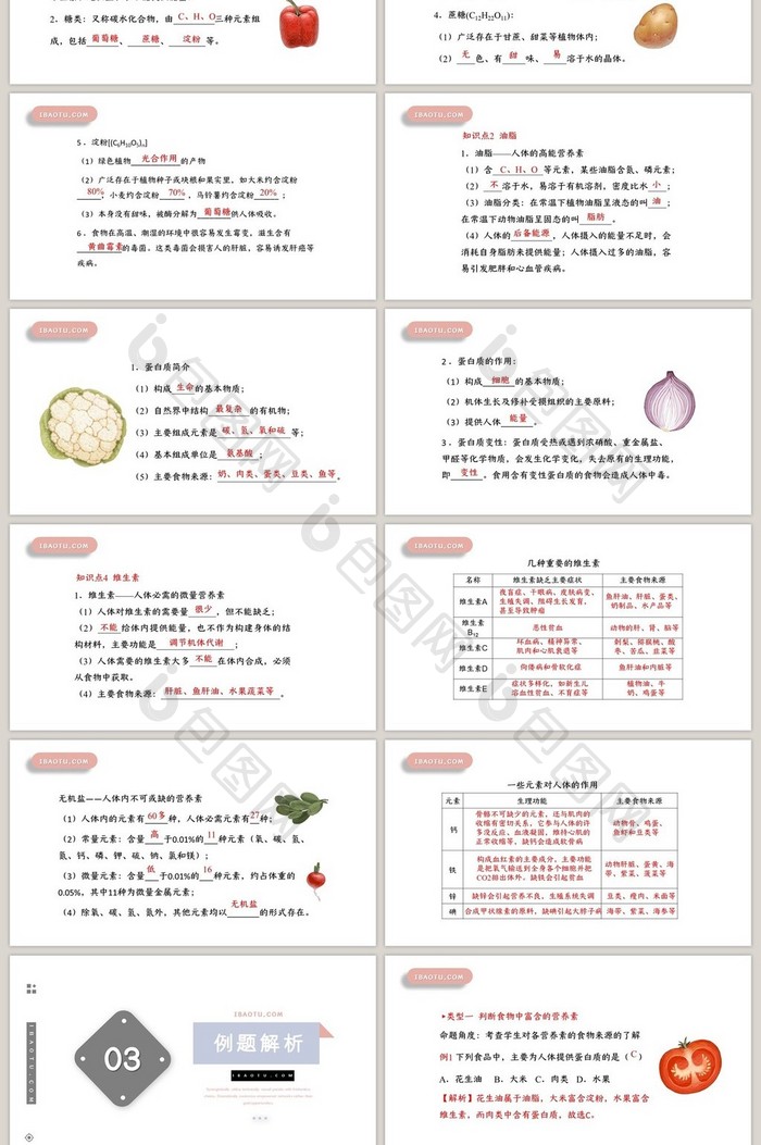 清新七年级生物课件PPT模板