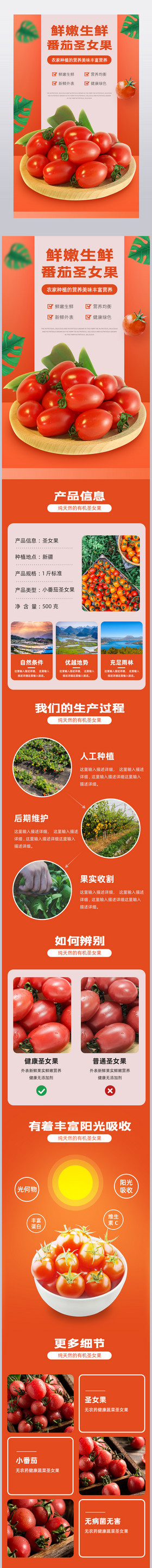 小番茄圣女果夏季蔬菜营养健康上市详情页