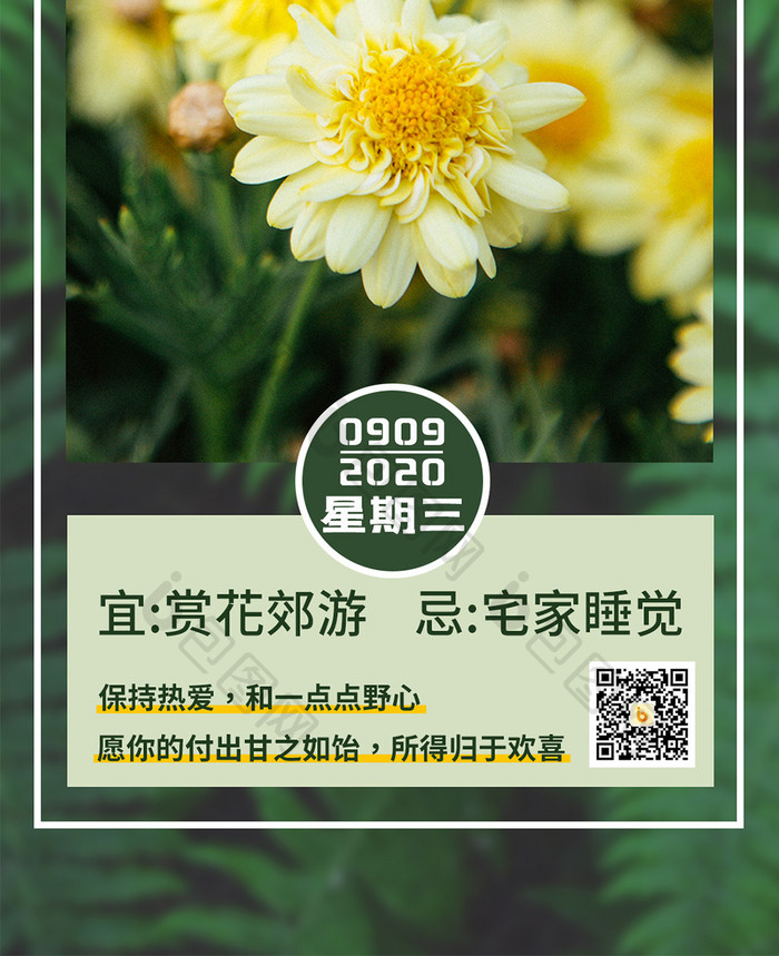 绿色实拍绿植植物叶子金菊菊花文艺日签配图