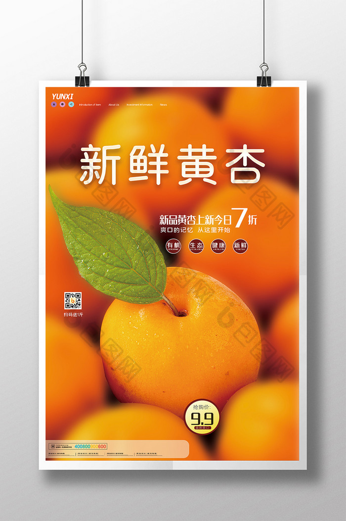 黄杏水果热卖爆款图片图片