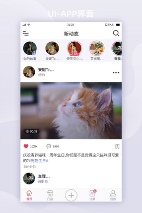 商务风格宠物社交APP界面新动态UI界面