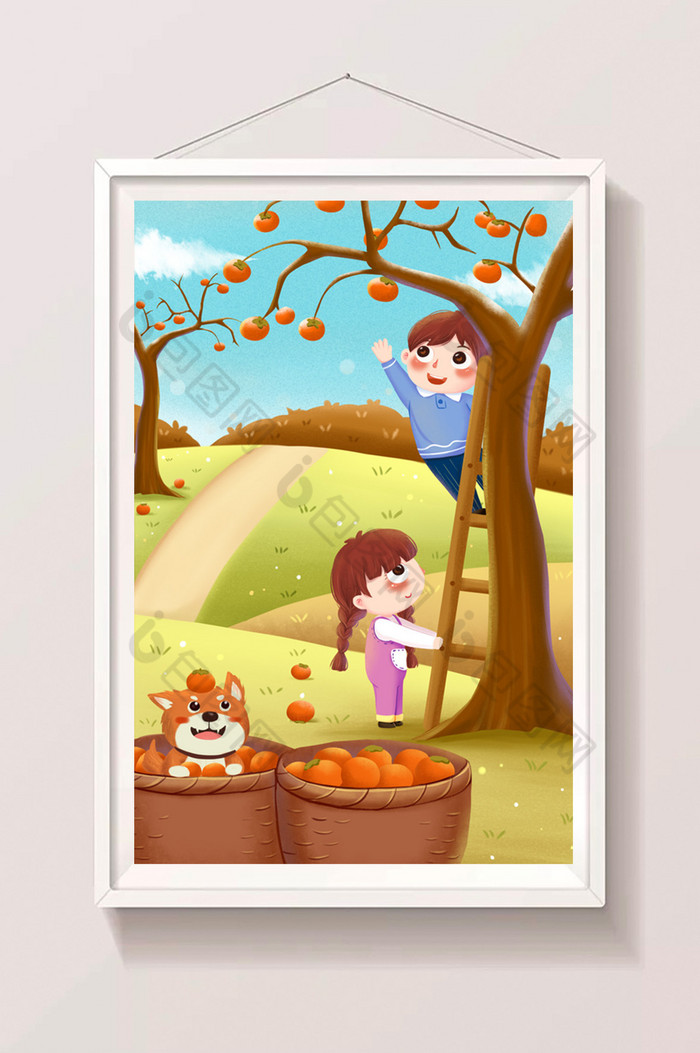 霜降之小童摘柿子插画图片图片