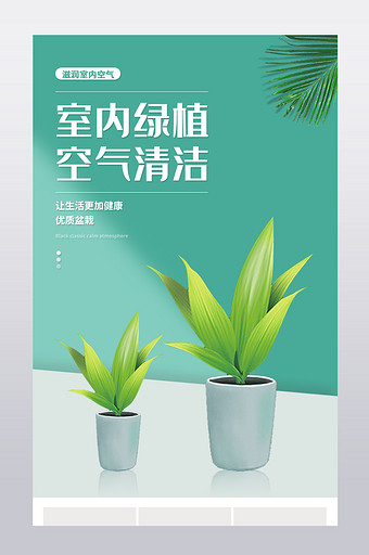 绿植盆栽花卉文艺简约小清新大气详情页图片