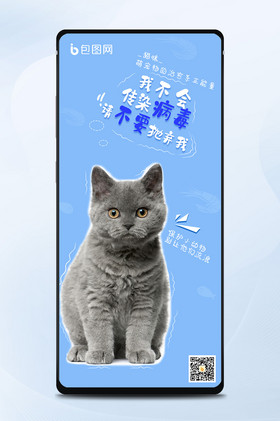 蓝色保护动物关爱小动物手机海报