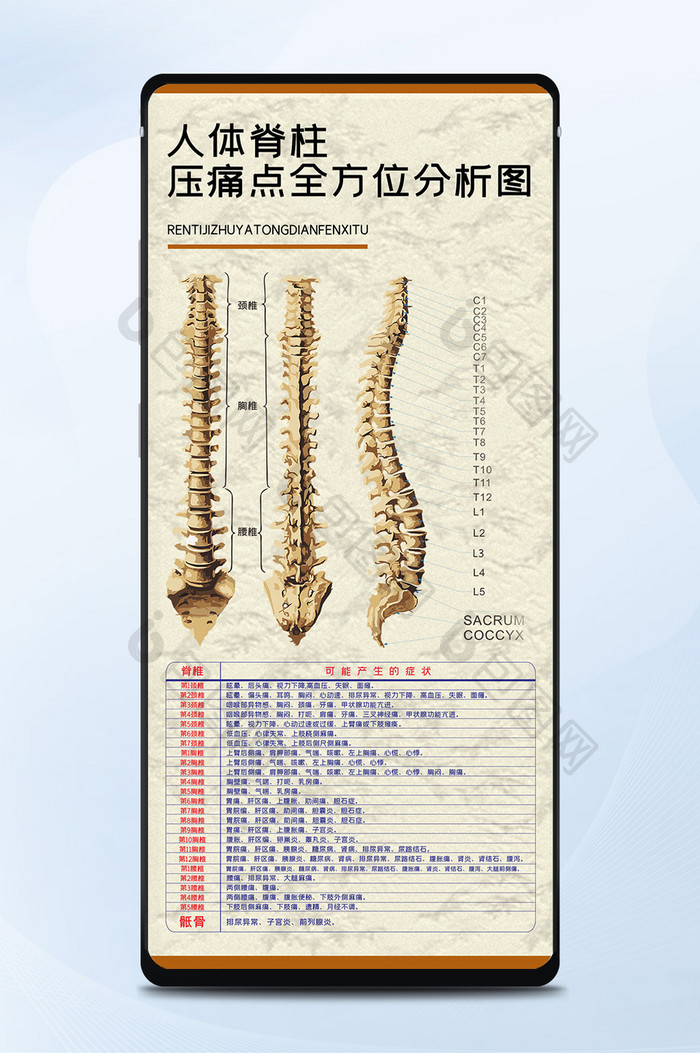 人体脊柱压痛点分析图脊椎骨头中医养生海报