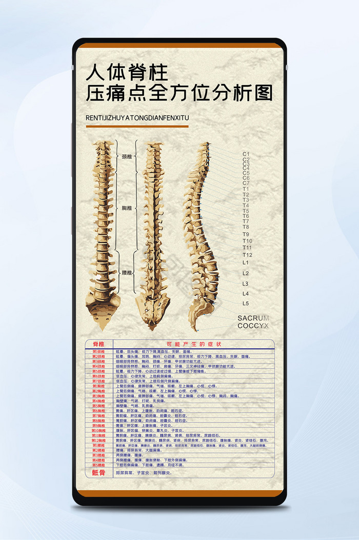 人体脊柱压痛点分析图脊椎骨头中医养生海报图片