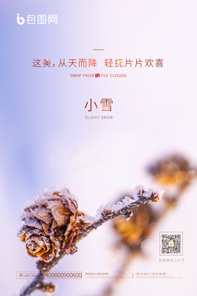 简约大气小雪宣传海报