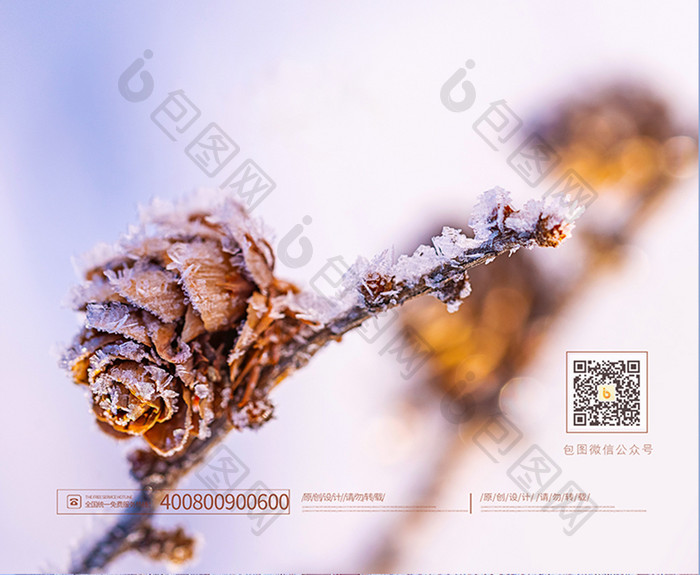 简约大气小雪宣传海报