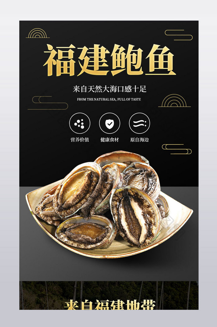 福建海边海鲜鲍鱼美味健康食材产品详情页