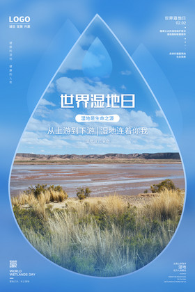 蓝色世界湿地日海报设计