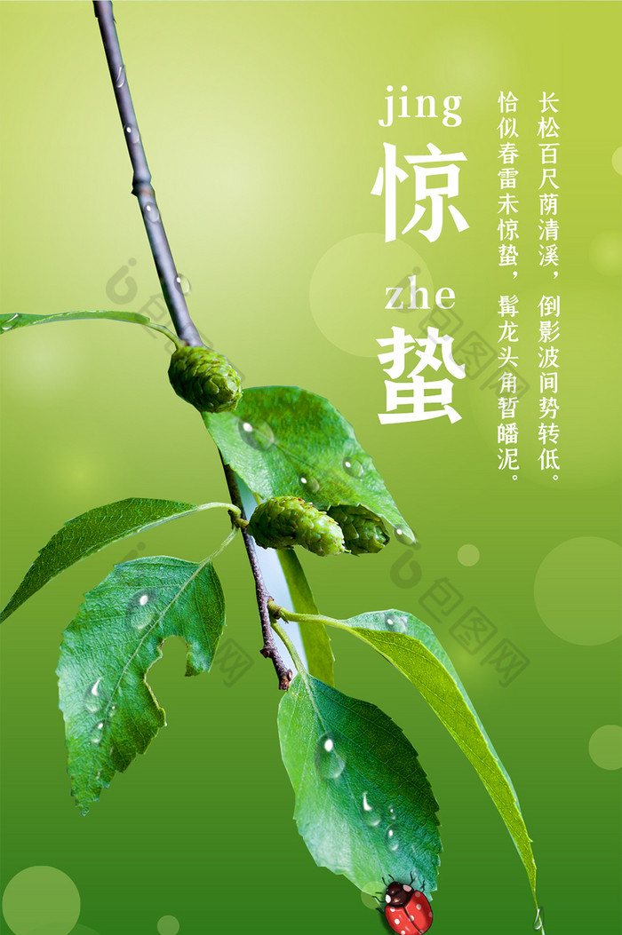 绿色树叶甲虫二十四节气惊蛰手机日签海报图