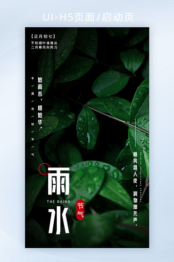 意境雨水露珠植物二十四节气H5启动闪屏页图片