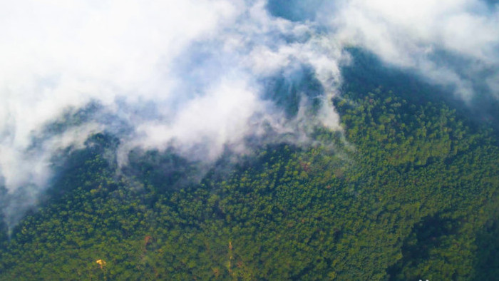 航拍森林云雾缭绕自然生态