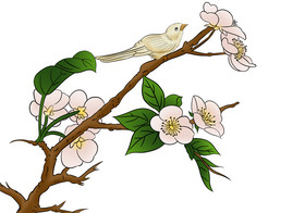 中国古代花枝苹果花燕子传统元素