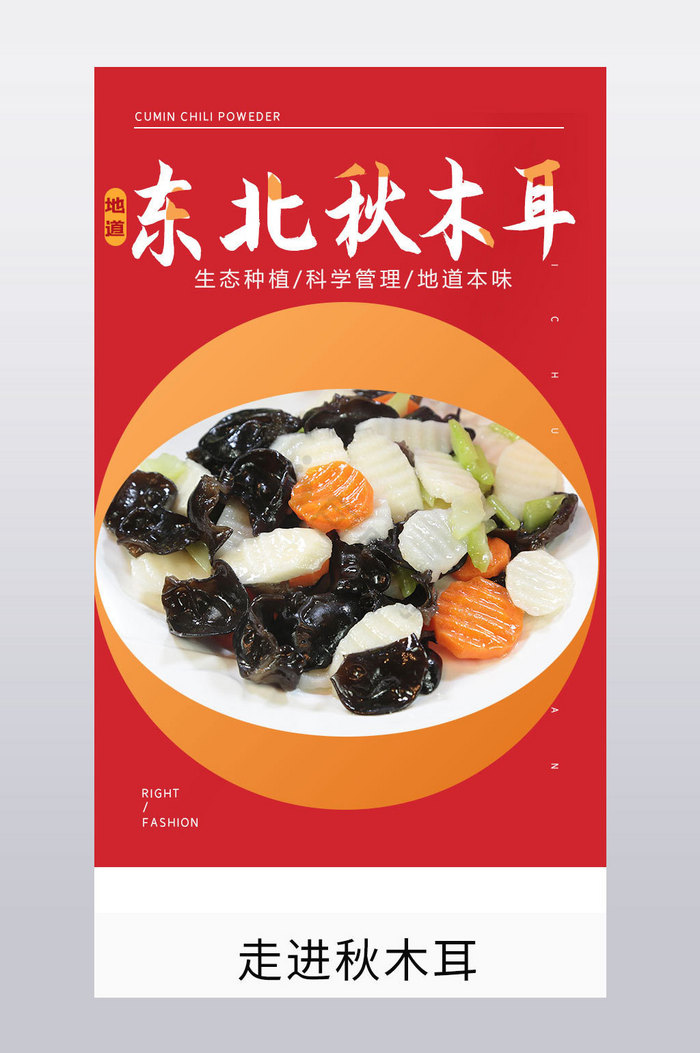 木耳香菇干货菌类东北秋木耳食品详情页图片