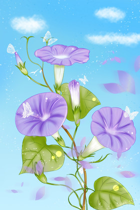 牵牛花喇叭花图片