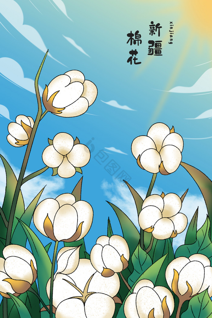 妙笔生花新疆棉花插画图片