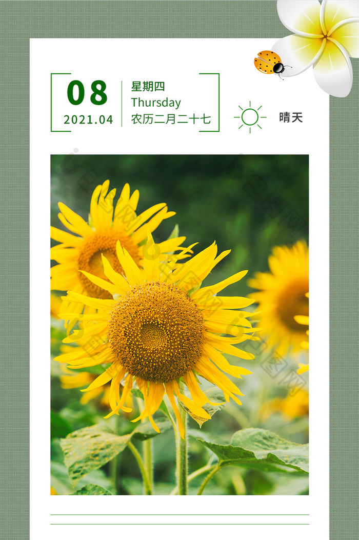 每日一签日签向日葵花朵蝴蝶签到手机海报图