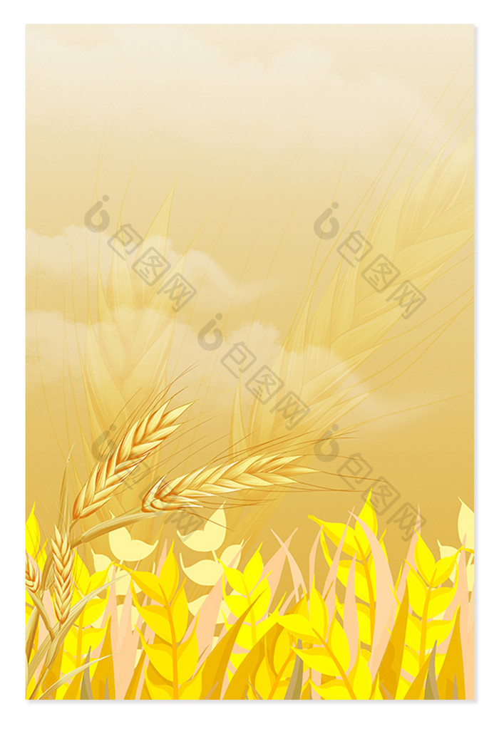 芒种节气小麦插画背景